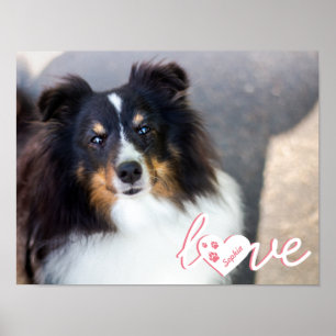 Poster Texto Personalizado De Foto Pet E Amor Com Palavra