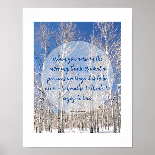 Poster Texto Personalizado Torre de Álamo Azul na Neve Fo (Frente)