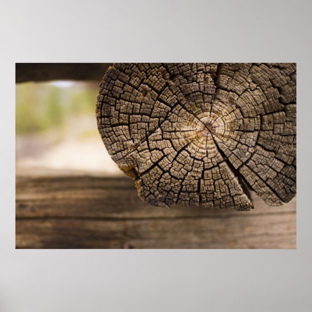 Poster Textura antiga da cabina (Frente)