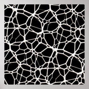 Pôster Textura branca na Web + seu solteiro. & ideias