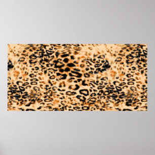 Poster Textura da pele do leopardo, padrão do leopardo