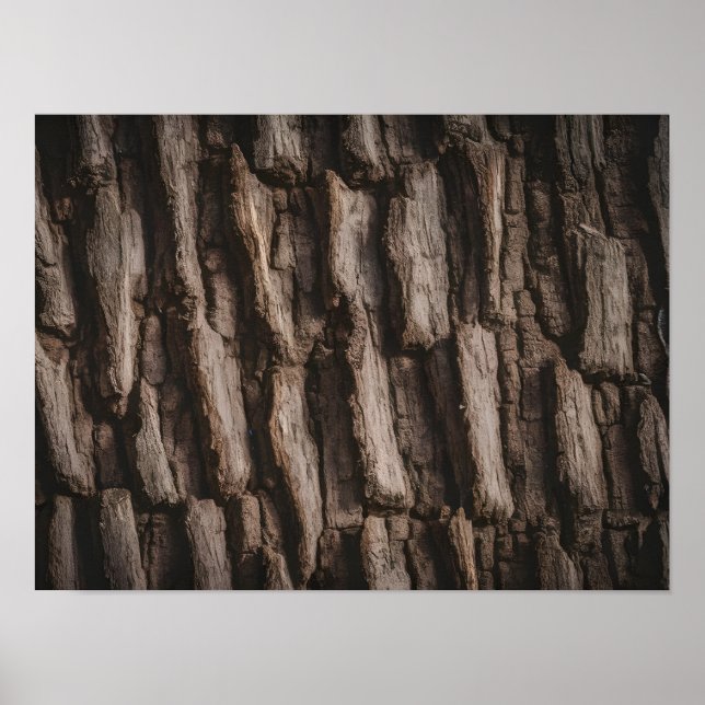 Poster Textura de Casca de Árvore Natural Não Tratada (Frente)