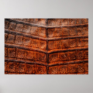 Poster Textura de pele de cobra sem costura. Rept tropica