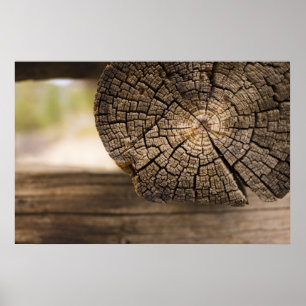 Poster Textura velha da cabine