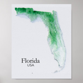 Poster Textura Verde do Mapa de Alivios da Flórida