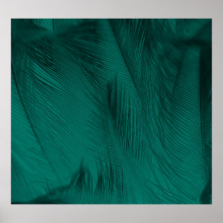 Poster Textura verde escura da pena de vindima