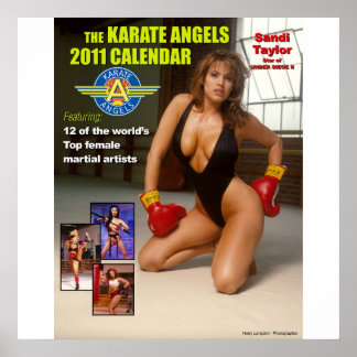 Poster The_2011_Karate_Angels_Calendar