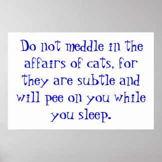 Poster The Affairs of Cats