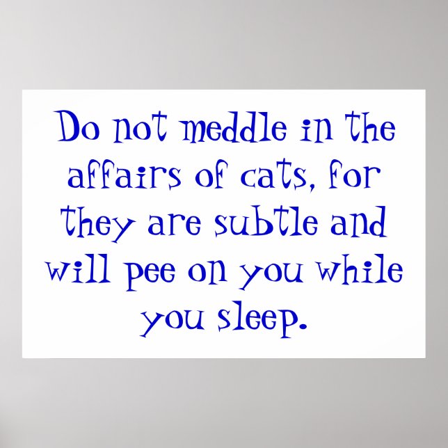 Poster The Affairs of Cats (Frente)