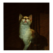 The Beatiful Sweetie