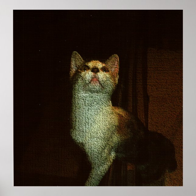 Poster The Beatiful Sweetie (Frente)