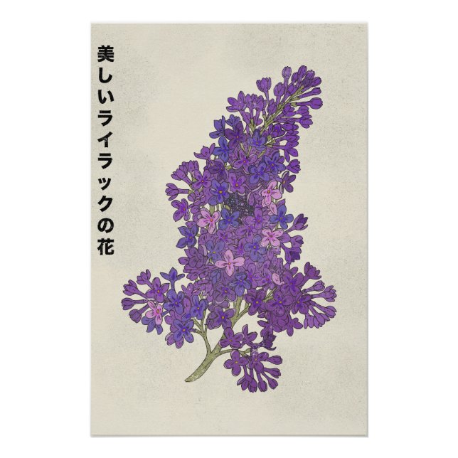 Pôster The Beautiful Lilac Flower (Frente)