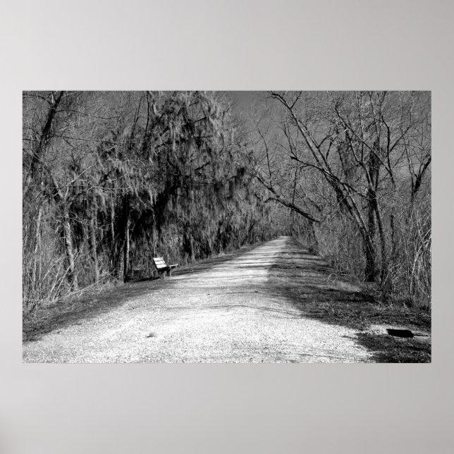 Poster The Bench (Frente)