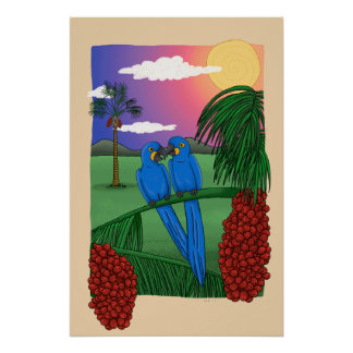 Pôster The Blue Macaw and the acuri coconut