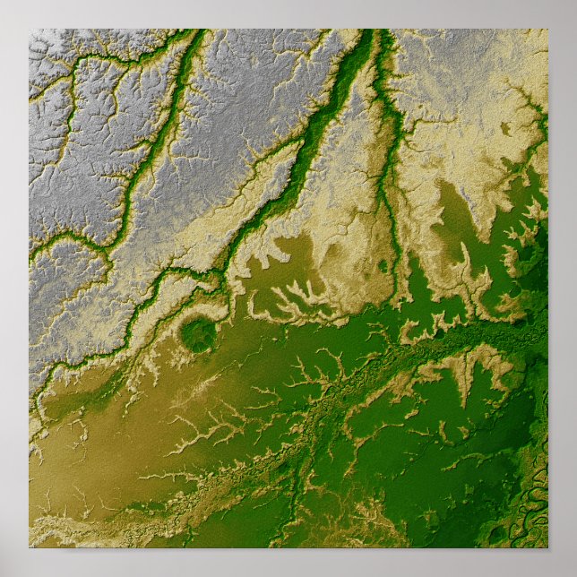 Poster The Bolivian Amazon (Frente)