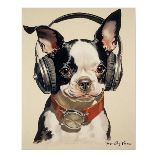 Pôster The Boston Terrier Dog 003 - Odessa Leyendecker (Frente)