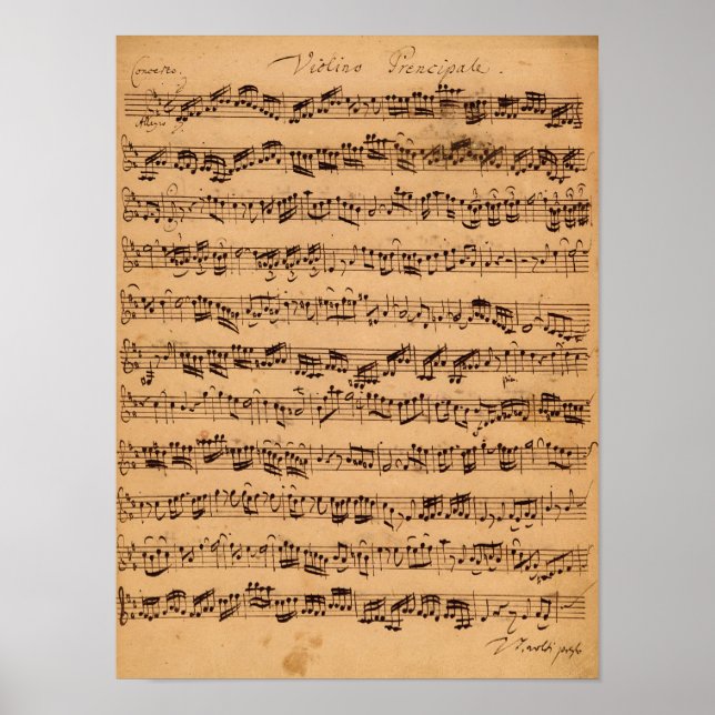 Pôster The Brandenburger Concertos, No.5 D-Dur, 1721 (Frente)