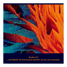 The Burning Bush Abstract