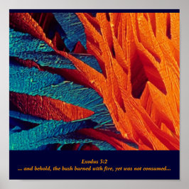 Pôster The Burning Bush Abstract