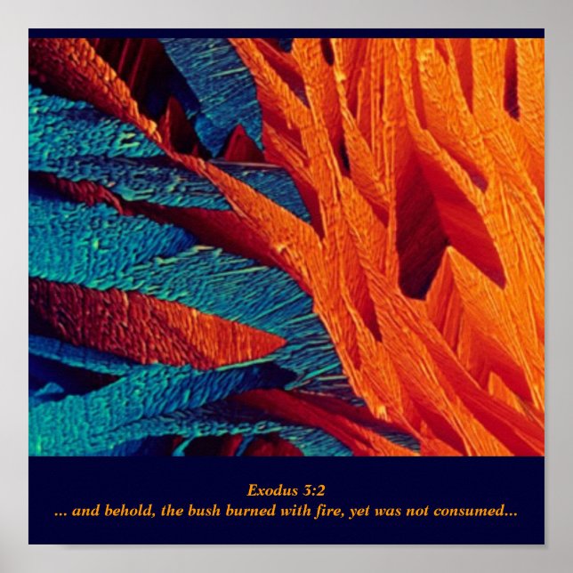 Pôster The Burning Bush Abstract (Frente)