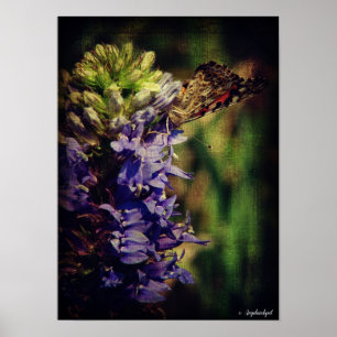 Poster The Butterfly and Purple Flowers