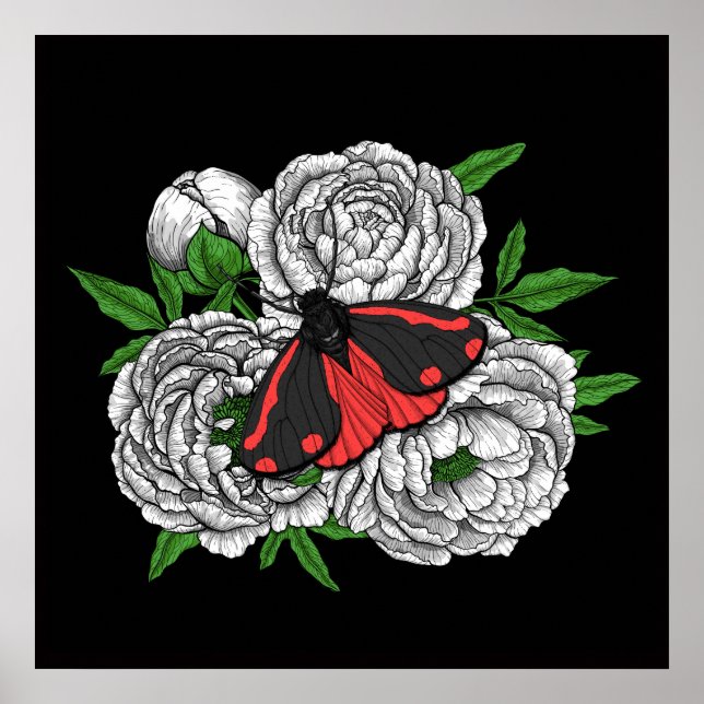 Poster The cinnabar moth (Frente)