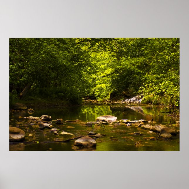 Pôster The Creek (Frente)