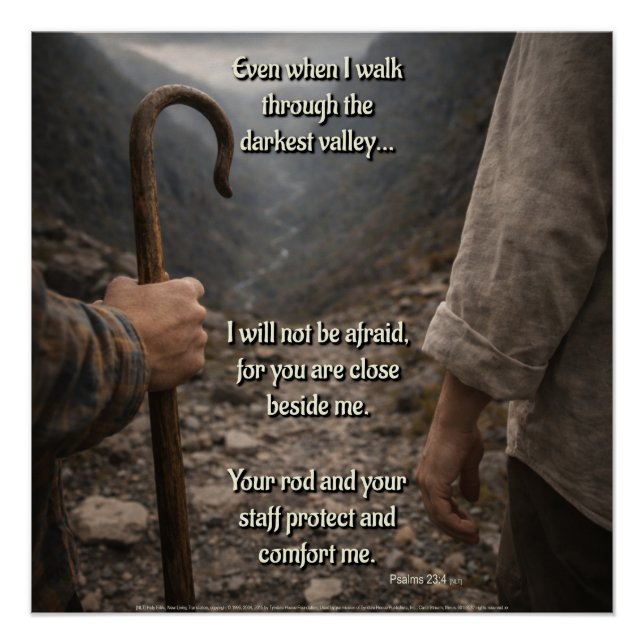 Pôster The darkest valley (Frente)