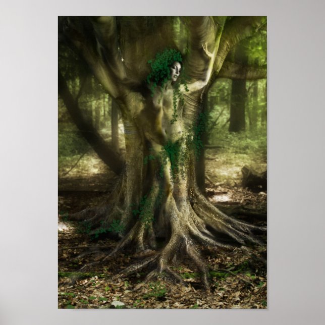 Poster The Dryad (Frente)