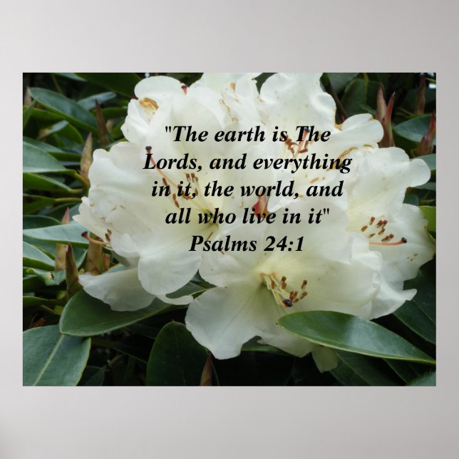 Pôster The Earth is The Lords ~Print~ (Frente)