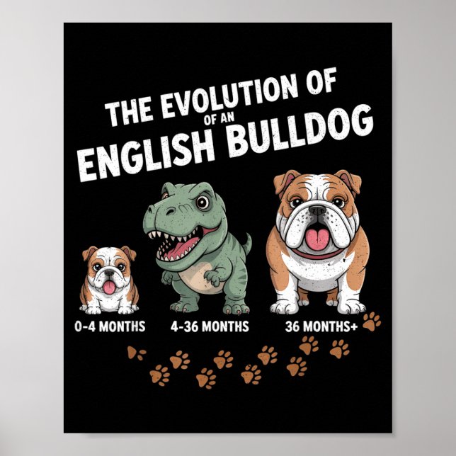 Poster The Evolution Of An English Bulldog Funny  (Frente)