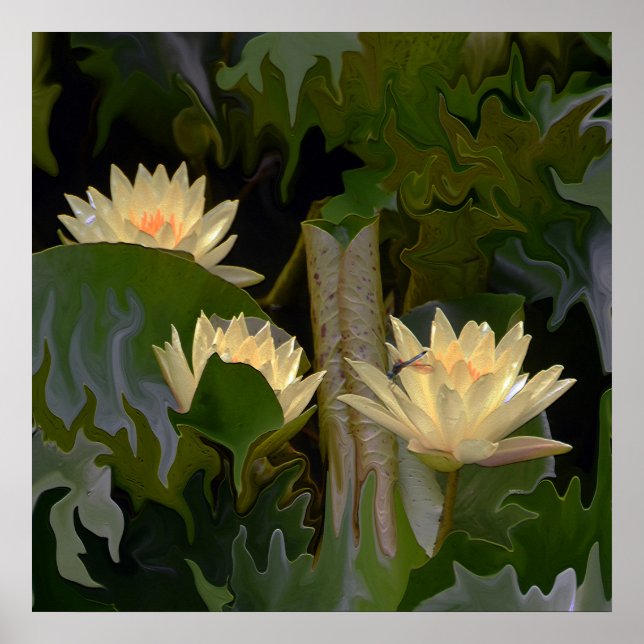 Poster The Fae's pond.... (Frente)