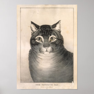 Poster The Favorite Cat Lithograph - Nathaniel Currier