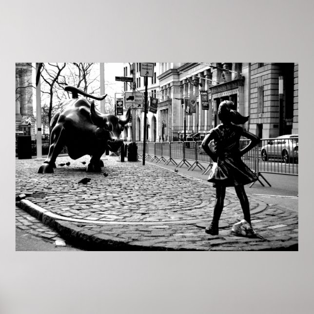 Poster The Fearless Girl (Frente)