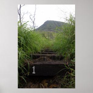 Pôster The first step invites hikers up Koko Crater
