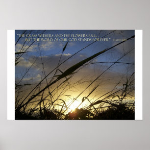 Pôster The Grass Withers