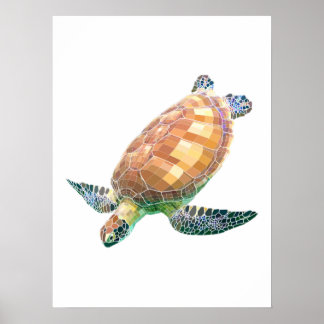 Poster The Green Sea Turtle (Colored)