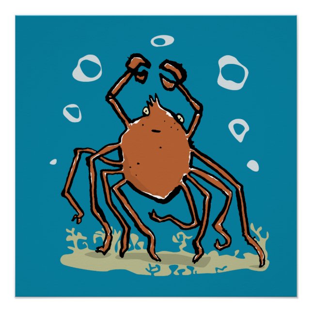 Pôster the groovy sea spider (Frente)