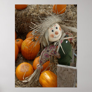 Pôster The Happy Scarecrow