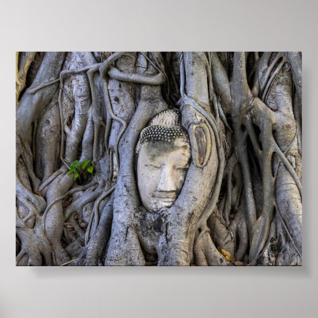 Poster The head in the tree (Frente)