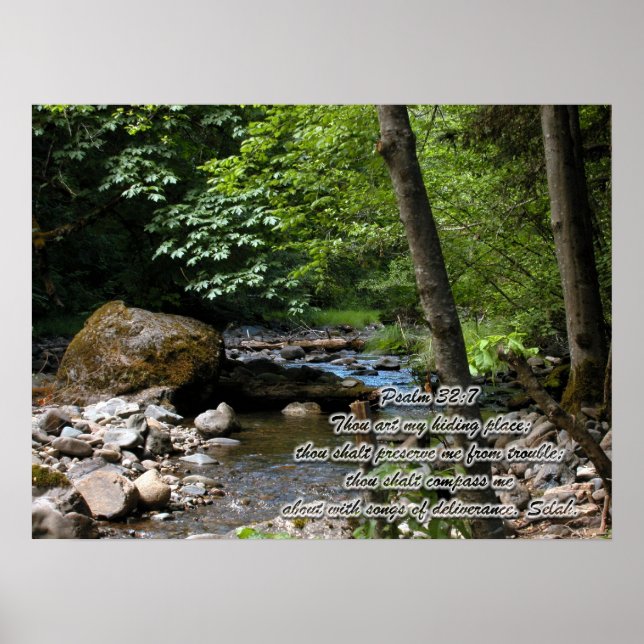 Pôster The Hiding Place (Frente)