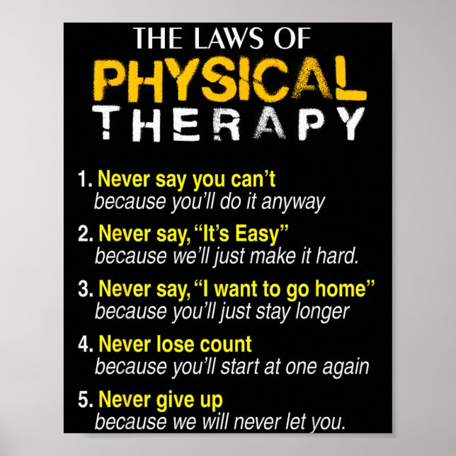 Poster The Laws Of Physical Therapy Motivational Goals Pt (Frente)