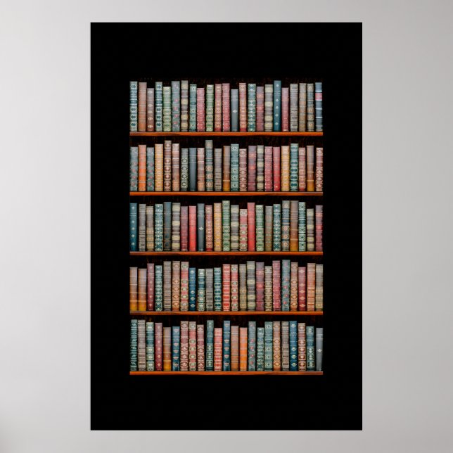 Poster The Library (Frente)