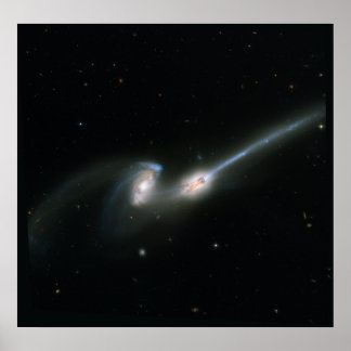 Poster The Mice (NGC 4676)- Colliding Galaxies