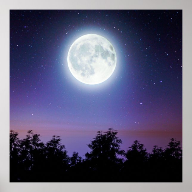 Poster the Moon above the forest (Frente)