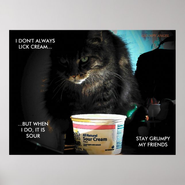 Poster The Most Interesting Cat in the World (Frente)