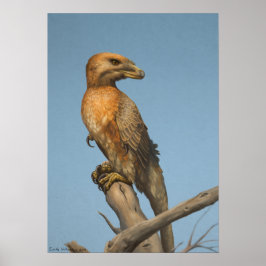 Pôster The Noble Savage print