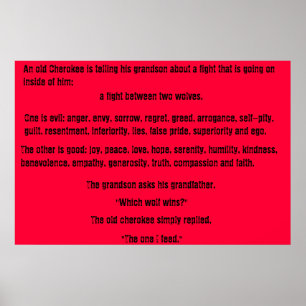 Poster The Old Cherokee