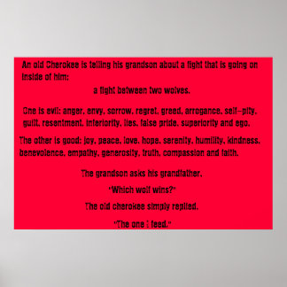 Poster The Old Cherokee