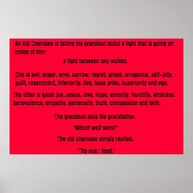 Poster The Old Cherokee (Frente)